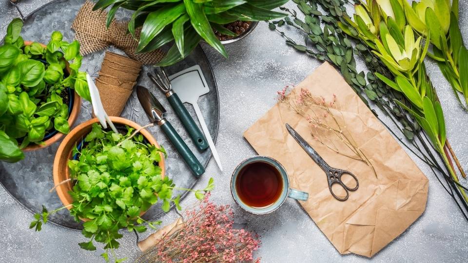 Herb garden for kitchen