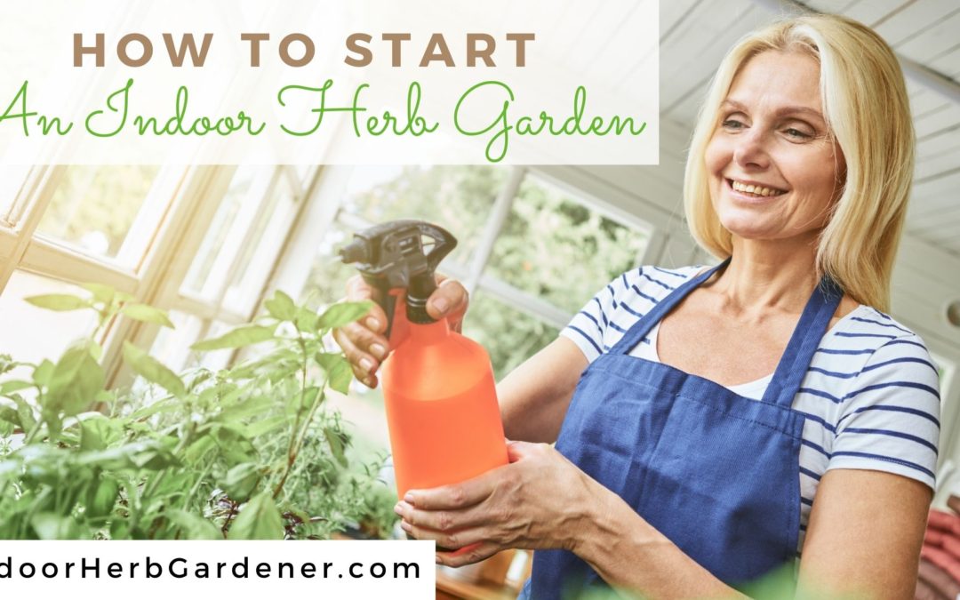 How To Start An Indoor Herb Garden-Everything Explained