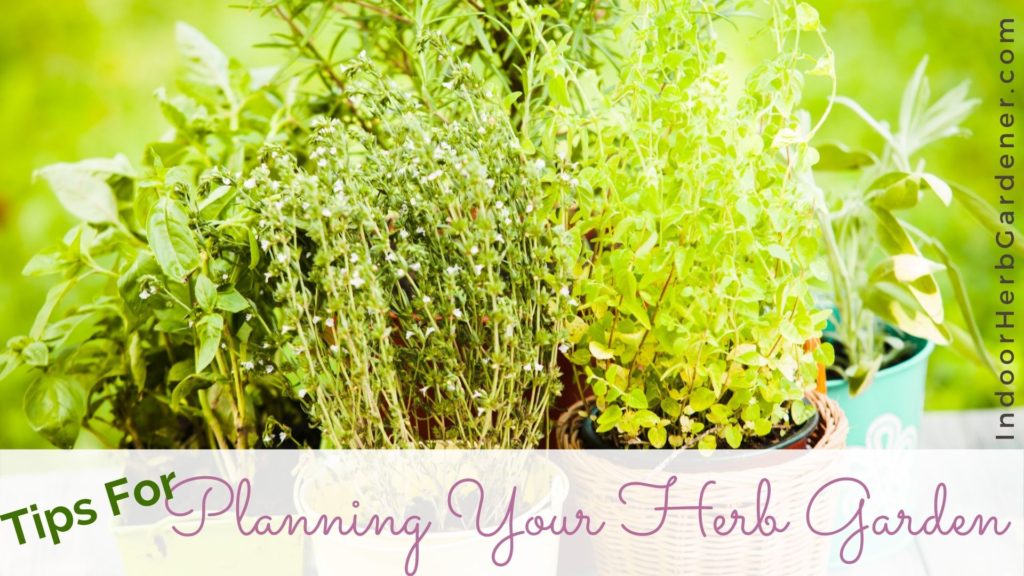 planning your herb garden