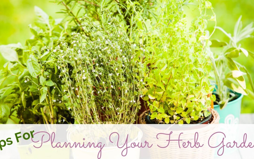 Tips For Planning Your Herb Garden