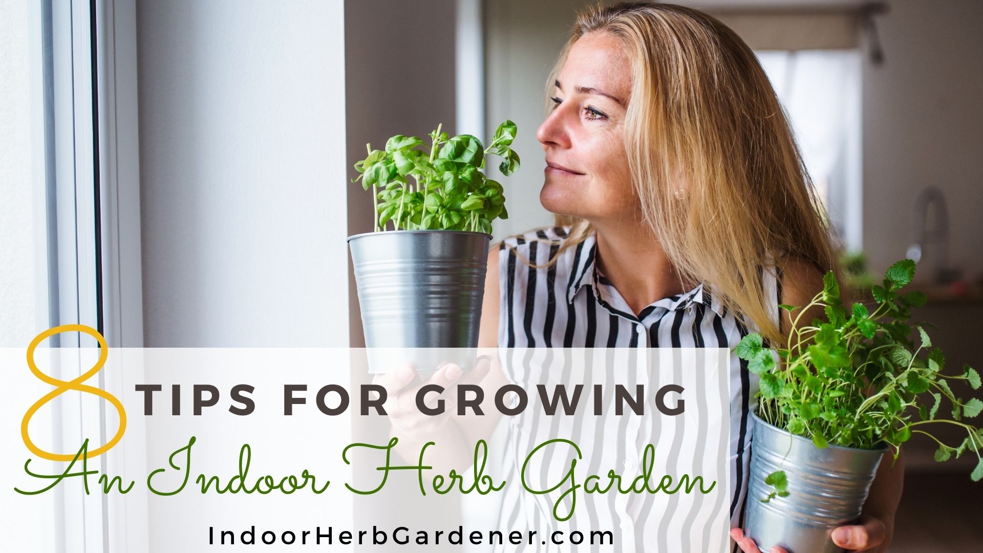 8 Tips For Growing an Herb Garden Indoors