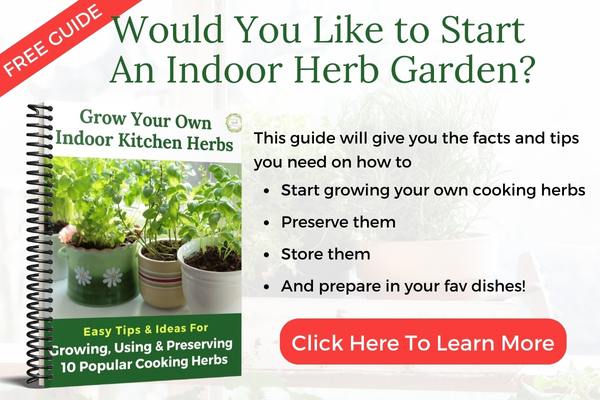 Grow Your Own Culinary Herbs Indoors